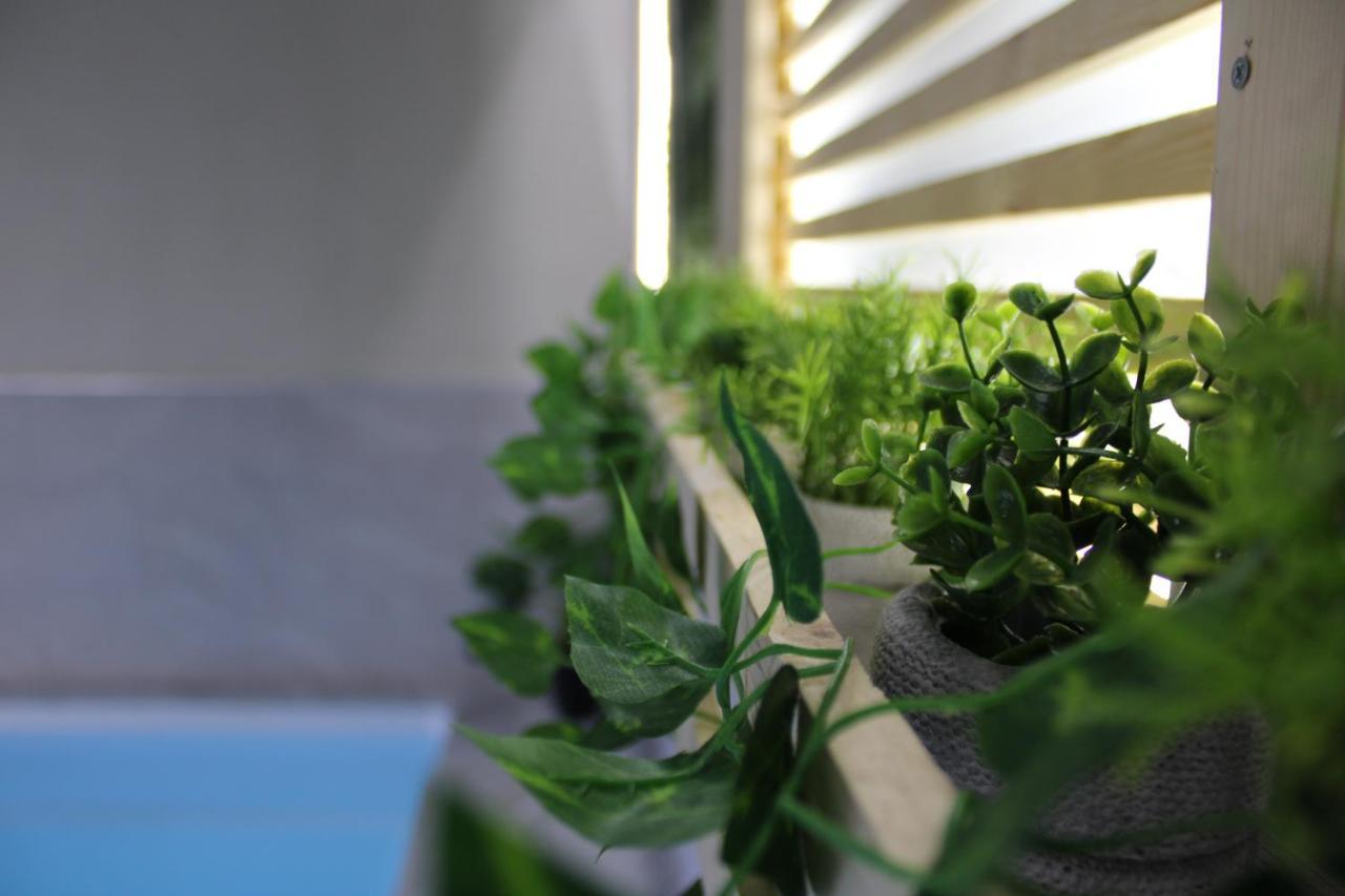 Can Musiquem Amb Piscina Les Planes d'Hostoles Zewnętrze zdjęcie